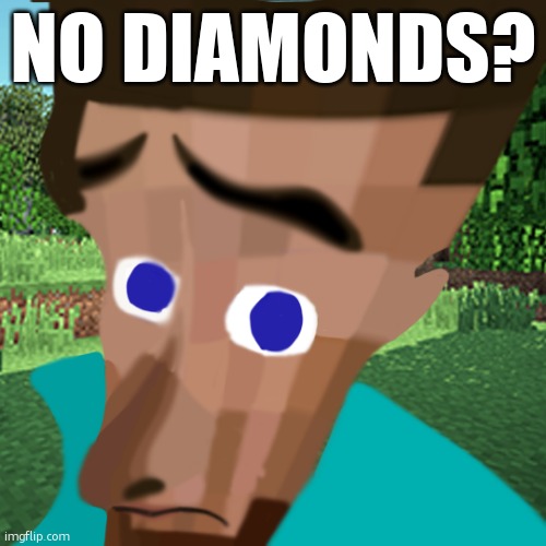 NO BITCHES | NO DIAMONDS? | image tagged in no bitches | made w/ Imgflip meme maker