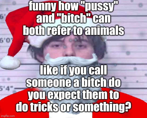 a | funny how "pussy" and "bitch" can both refer to animals; like if you call someone a bitch do you expect them to do tricks or something? | image tagged in maze claus | made w/ Imgflip meme maker