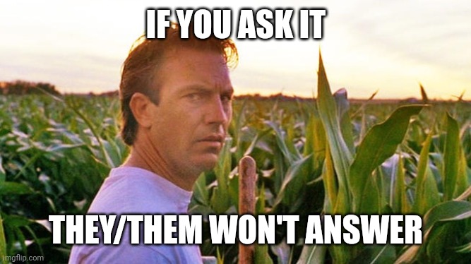 field of dreams | IF YOU ASK IT THEY/THEM WON'T ANSWER | image tagged in field of dreams | made w/ Imgflip meme maker