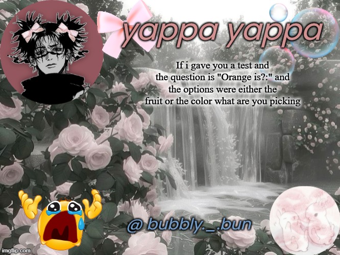 Bubbly._.bun's temp | If i gave you a test and the question is "Orange is?:" and the options were either the fruit or the color what are you picking | image tagged in bubbly _ bun's temp | made w/ Imgflip meme maker
