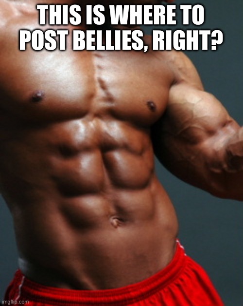 6 Pack | THIS IS WHERE TO POST BELLIES, RIGHT? | image tagged in 6 pack | made w/ Imgflip meme maker