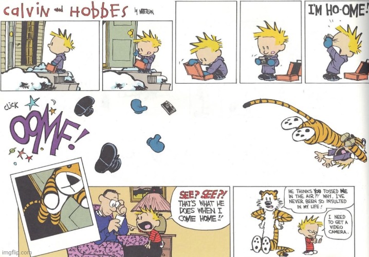 One of My Favorite Moments | image tagged in calvin and hobbes | made w/ Imgflip meme maker