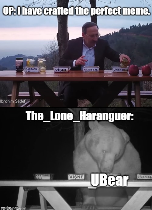 Response to The_Lone_Haranguer | OP: I have crafted the perfect meme. The_Lone_Haranguer:; UBear | image tagged in ibrahim sedef | made w/ Imgflip meme maker