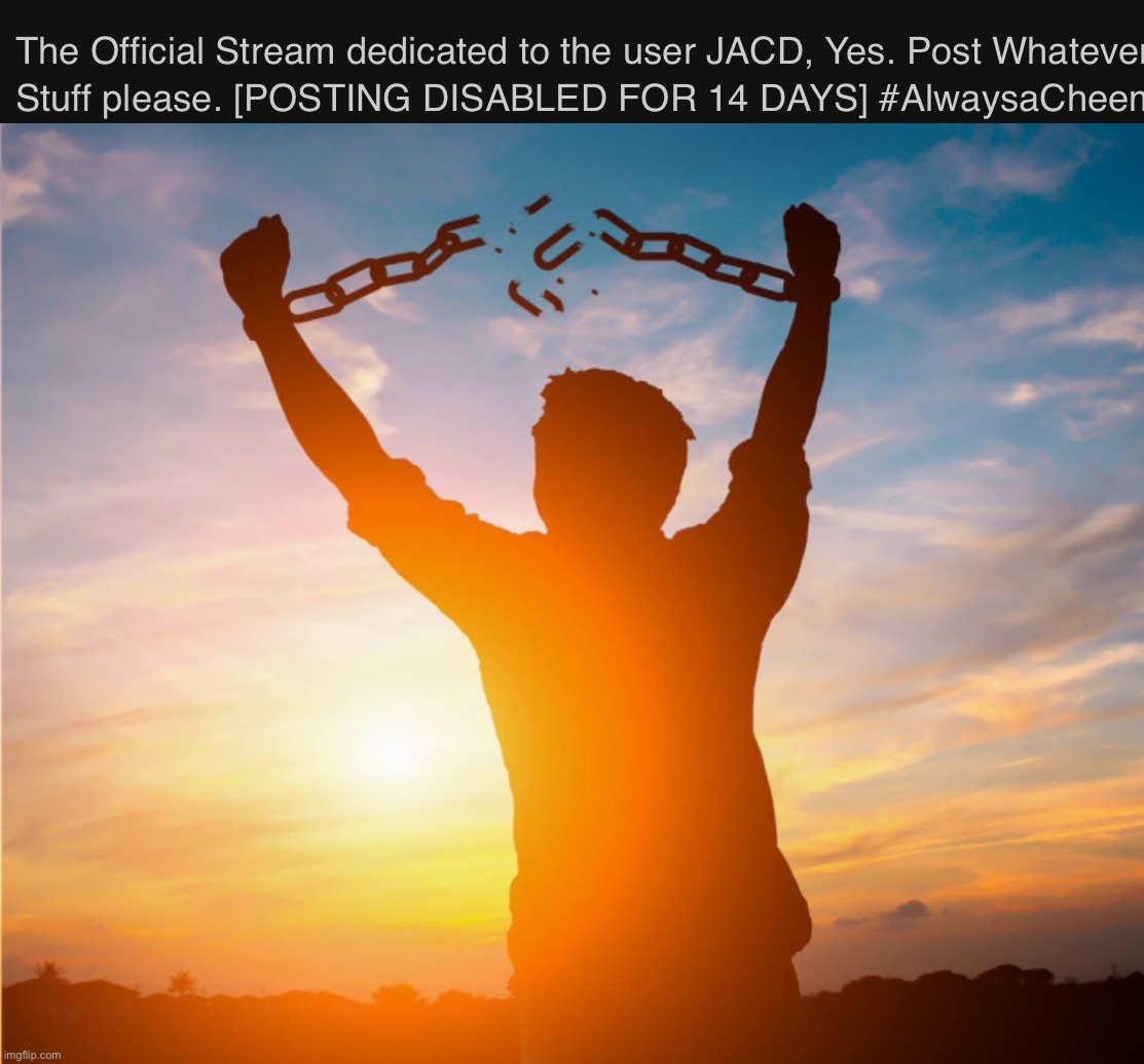 sic semper tyrannis or something | image tagged in man breaking free from chains over the sunset | made w/ Imgflip meme maker