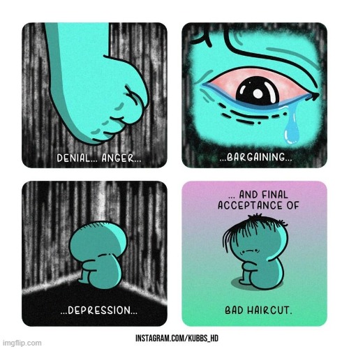 image tagged in denial,anger,bargaining,depression,acceptance,bad haircut | made w/ Imgflip meme maker