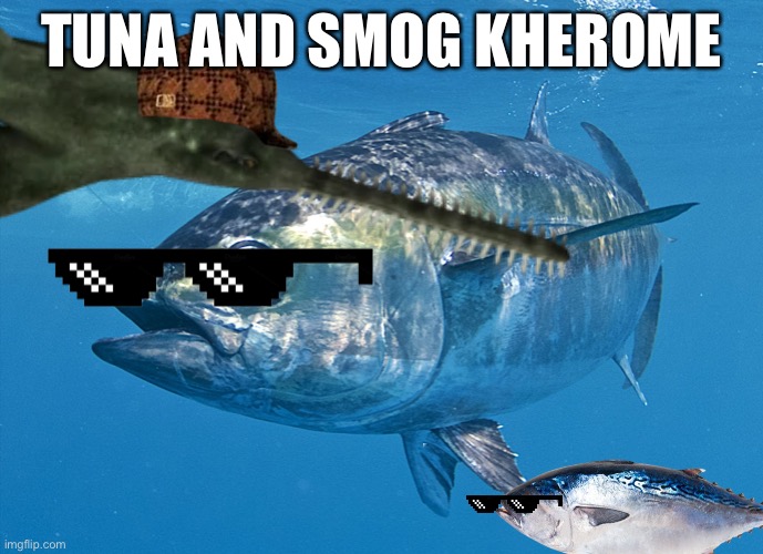 Smug kherome is back tuna | TUNA AND SMOG KHEROME | image tagged in smug kherome x tuna | made w/ Imgflip meme maker