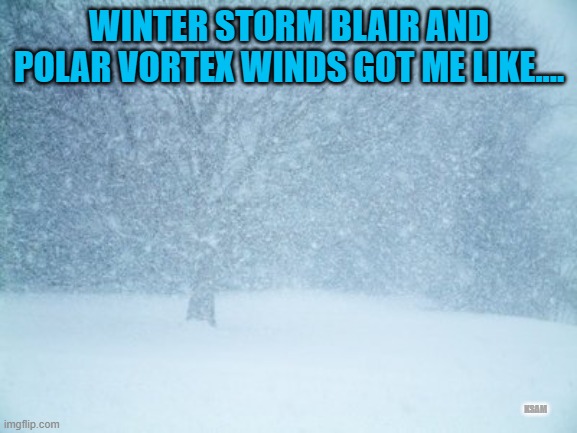 ws blair | WINTER STORM BLAIR AND POLAR VORTEX WINDS GOT ME LIKE.... KSAM | image tagged in blizzard | made w/ Imgflip meme maker