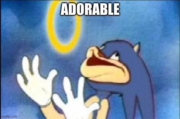 Sonic derp | ADORABLE | image tagged in sonic derp | made w/ Imgflip meme maker