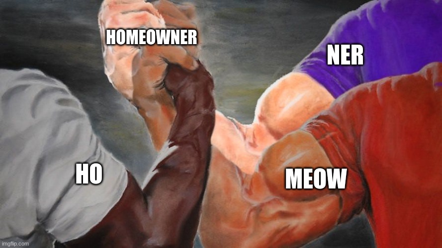 Epic Handshake Three Way | HO NER MEOW HOMEOWNER | image tagged in epic handshake three way | made w/ Imgflip meme maker