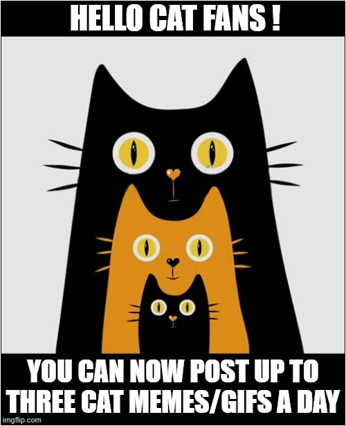 Three Is A Magic Number ! | HELLO CAT FANS ! YOU CAN NOW POST UP TO THREE CAT MEMES/GIFS A DAY | image tagged in cats,memes,gifs,three,postings | made w/ Imgflip meme maker