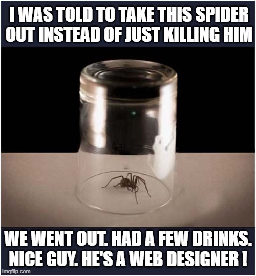 Don't Be Afraid To Make A New Friend ! | I WAS TOLD TO TAKE THIS SPIDER OUT INSTEAD OF JUST KILLING HIM; WE WENT OUT. HAD A FEW DRINKS. NICE GUY. HE'S A WEB DESIGNER ! | image tagged in spider,glass,friends,play on words | made w/ Imgflip meme maker