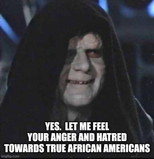 Sidious Error Meme | YES.  LET ME FEEL YOUR ANGER AND HATRED TOWARDS TRUE AFRICAN AMERICANS | image tagged in memes,sidious error | made w/ Imgflip meme maker