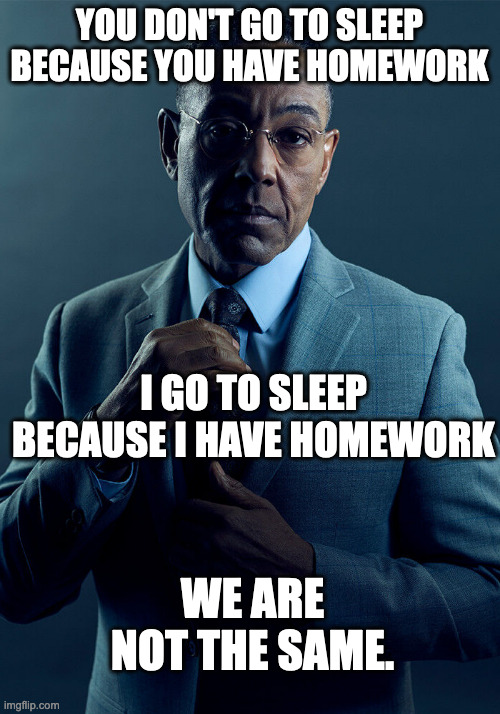 Sleepy smart, into the day! | YOU DON'T GO TO SLEEP BECAUSE YOU HAVE HOMEWORK; I GO TO SLEEP BECAUSE I HAVE HOMEWORK; WE ARE NOT THE SAME. | image tagged in sleep,gus fring,why are you reading the tags | made w/ Imgflip meme maker