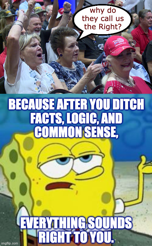 why do
they call us
the Right? BECAUSE AFTER YOU DITCH
FACTS, LOGIC, AND
COMMON SENSE, EVERYTHING SOUNDS
RIGHT TO YOU. | image tagged in spongebob i'll have you know | made w/ Imgflip meme maker