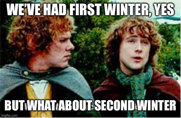 What about second breakfast? | WE’VE HAD FIRST WINTER, YES; BUT WHAT ABOUT SECOND WINTER | image tagged in what about second breakfast | made w/ Imgflip meme maker