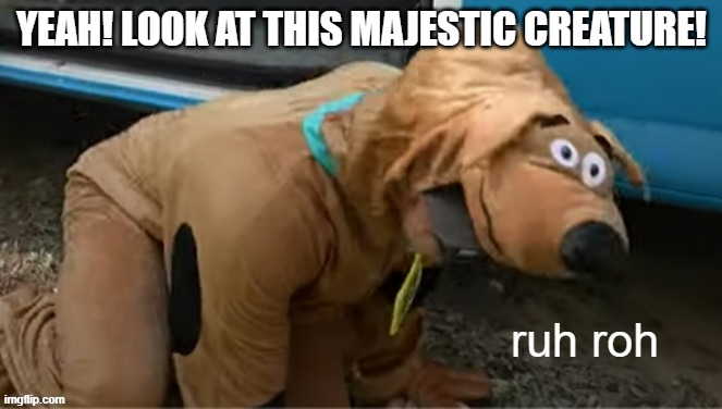 ruh roh raggy | YEAH! LOOK AT THIS MAJESTIC CREATURE! | image tagged in ruh roh raggy | made w/ Imgflip meme maker