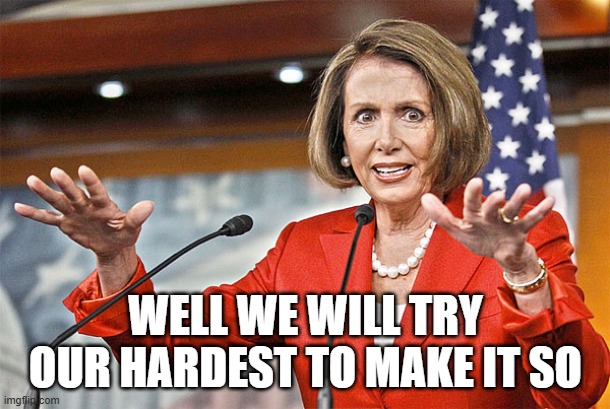 Nancy Pelosi is crazy | WELL WE WILL TRY OUR HARDEST TO MAKE IT SO | image tagged in nancy pelosi is crazy | made w/ Imgflip meme maker