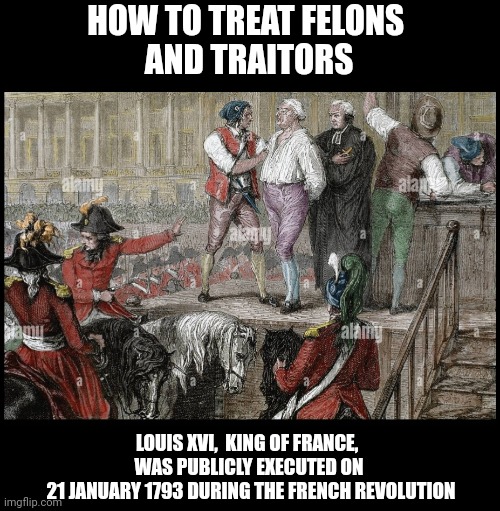 Trump | HOW TO TREAT FELONS 
AND TRAITORS; LOUIS XVI,  KING OF FRANCE, 
WAS PUBLICLY EXECUTED ON
 21 JANUARY 1793 DURING THE FRENCH REVOLUTION | image tagged in traitors,felons | made w/ Imgflip meme maker