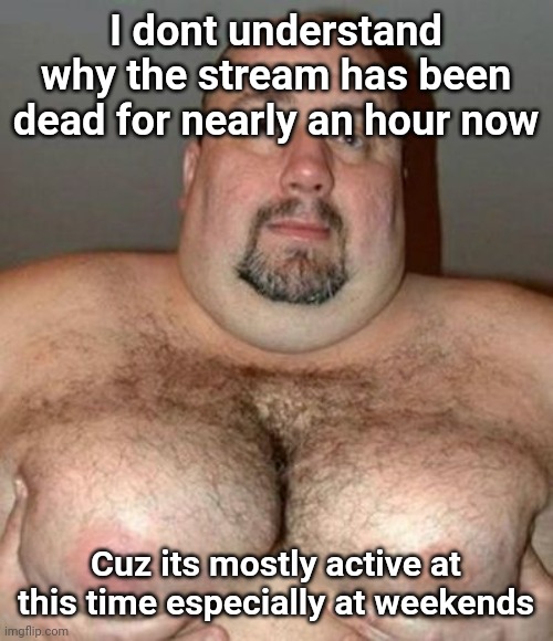 Big Hair Man Boobs | I dont understand why the stream has been dead for nearly an hour now; Cuz its mostly active at this time especially at weekends | image tagged in big hair man boobs | made w/ Imgflip meme maker