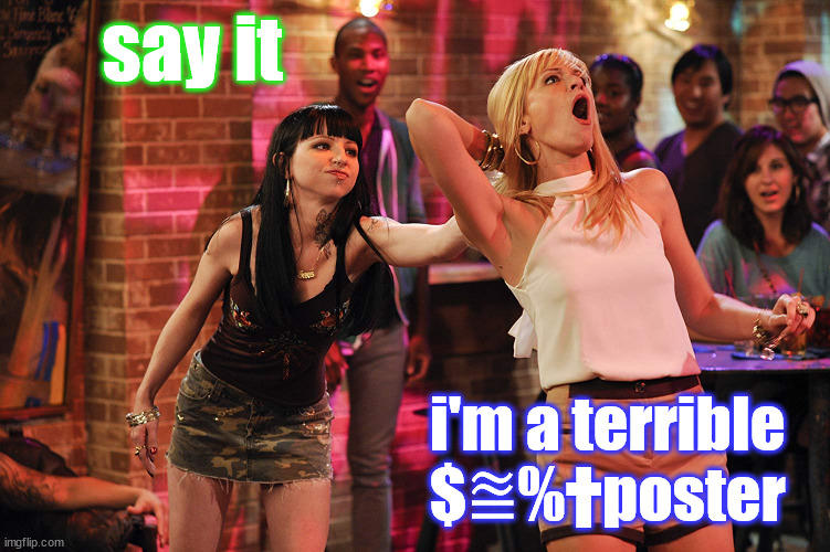 this of course would also be terrible if posted | say it; i'm a terrible $⩰%†poster | image tagged in sarah buehler beth behrs,no drama,teally | made w/ Imgflip meme maker