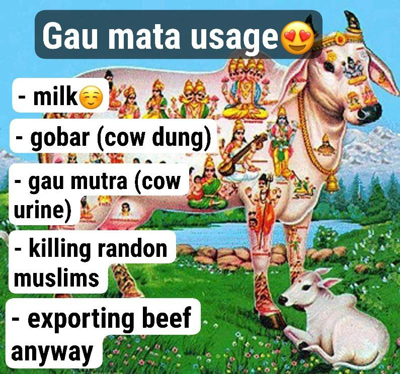 gau mata usage india hindu cow goddess sanatan funny meme Blank Meme Template