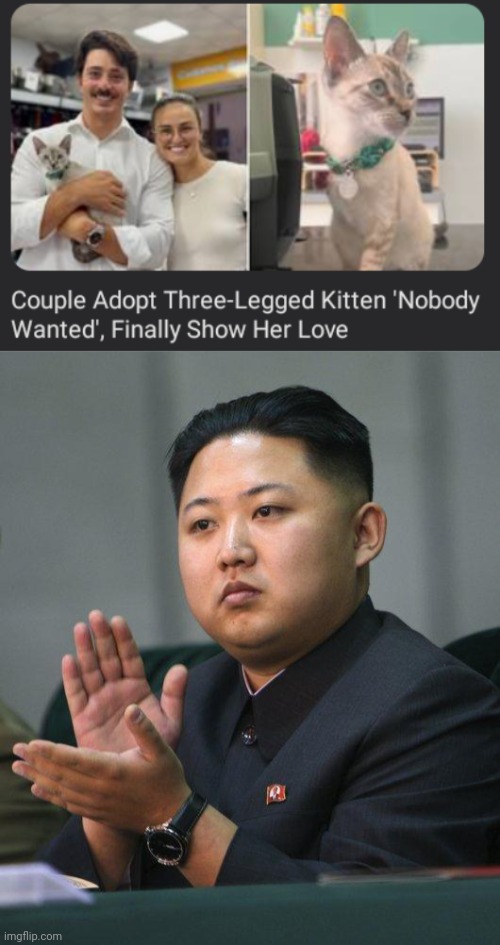 Three-legged kitten | image tagged in kim jong un,cats,cat,kitten,memes,legs | made w/ Imgflip meme maker