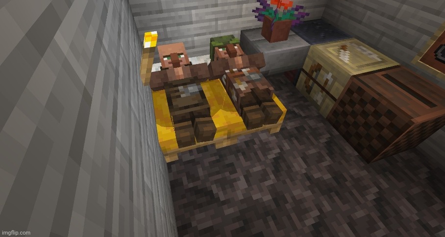 Villagers sleeping together Blank Meme Template