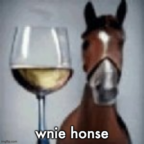 wine horse | wnie honse | image tagged in wine horse | made w/ Imgflip meme maker