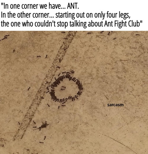 "In one corner we have... ANT. 
In the other corner... starting out on only four legs, the one who couldn't stop talking about Ant Fight Club" | made w/ Imgflip meme maker