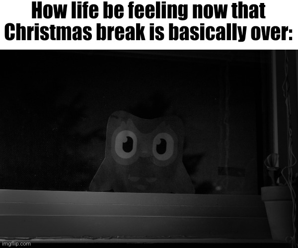 First fun stream post in a good while. | How life be feeling now that Christmas break is basically over: | image tagged in dread duolingo owl | made w/ Imgflip meme maker