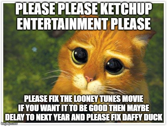 ketchup entertainment if you want me to like the new looney tunes movie then please remove scenes that make me wanna puke | PLEASE PLEASE KETCHUP ENTERTAINMENT PLEASE; PLEASE FIX THE LOONEY TUNES MOVIE IF YOU WANT IT TO BE GOOD THEN MAYBE DELAY TO NEXT YEAR AND PLEASE FIX DAFFY DUCK | image tagged in memes,shrek cat,public service announcement | made w/ Imgflip meme maker