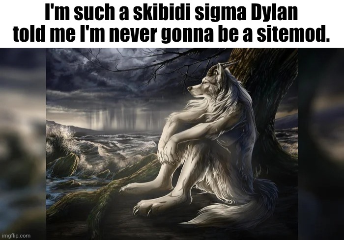 Sigma Wolf | I'm such a skibidi sigma Dylan told me I'm never gonna be a sitemod. | image tagged in sigma wolf | made w/ Imgflip meme maker