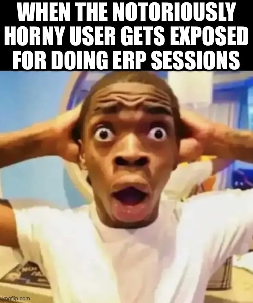 Didn’t see that coming at all. | WHEN THE NOTORIOUSLY HORNY USER GETS EXPOSED
FOR DOING ERP SESSIONS | image tagged in surprised black guy | made w/ Imgflip meme maker