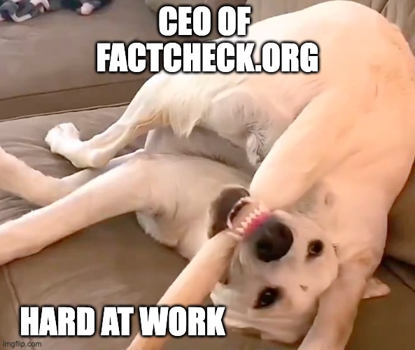 factcheck.org | CEO OF 
FACTCHECK.ORG; HARD AT WORK | image tagged in dog chewing tail | made w/ Imgflip meme maker