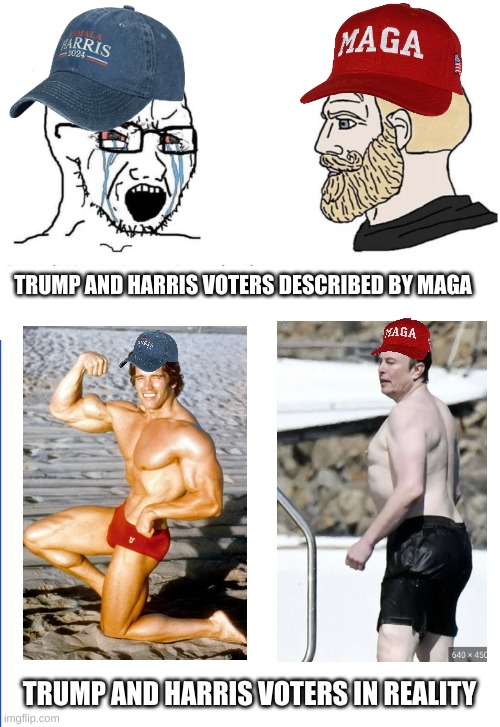 Elon vs. Arnold | TRUMP AND HARRIS VOTERS DESCRIBED BY MAGA; TRUMP AND HARRIS VOTERS IN REALITY | image tagged in soyboy vs yes chad,elon musk,arnold schwarzenegger,kamala harris,donald trump,soyjak vs chad | made w/ Imgflip meme maker