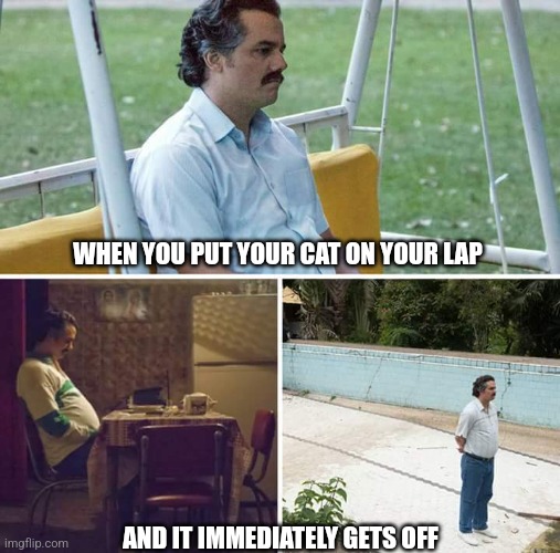 Sad Pablo Escobar | WHEN YOU PUT YOUR CAT ON YOUR LAP; AND IT IMMEDIATELY GETS OFF | image tagged in memes,sad pablo escobar | made w/ Imgflip meme maker