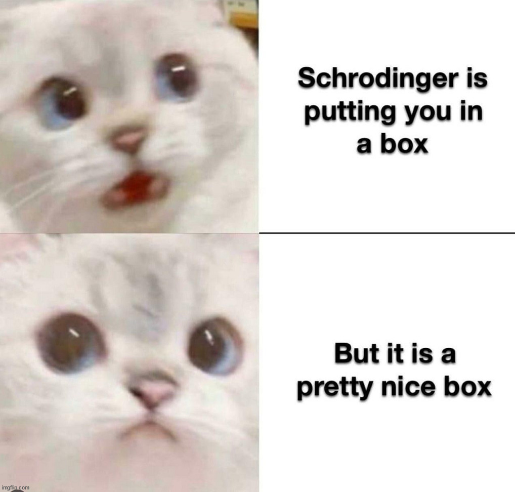 Get in the box | image tagged in repost | made w/ Imgflip meme maker