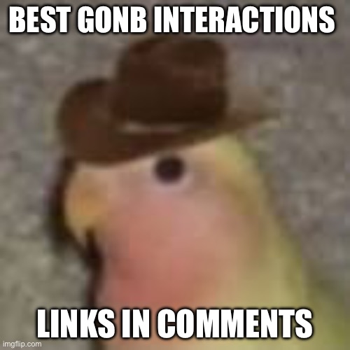 You gotta scroll in the comments by the way | BEST GONB INTERACTIONS; LINKS IN COMMENTS | image tagged in gonb | made w/ Imgflip meme maker