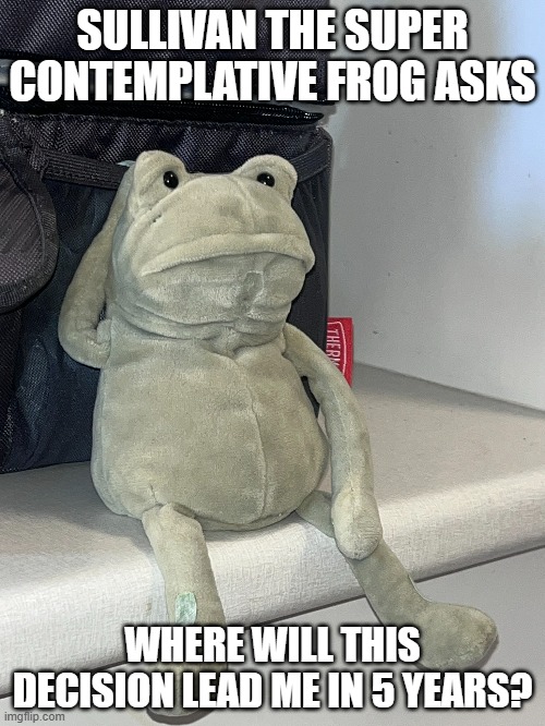 Sullivan the Super Contemplative Frog | SULLIVAN THE SUPER CONTEMPLATIVE FROG ASKS; WHERE WILL THIS DECISION LEAD ME IN 5 YEARS? | image tagged in philosophy,contemplation,thinking,planning,dreaming,relaxing | made w/ Imgflip meme maker