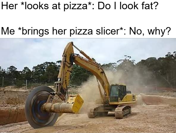 Her *looks at pizza*: Do I look fat? Me *brings her pizza slicer*: No, why? | image tagged in funny | made w/ Imgflip meme maker