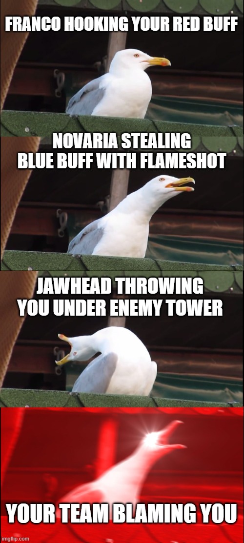 casual mlbb experience | FRANCO HOOKING YOUR RED BUFF; NOVARIA STEALING BLUE BUFF WITH FLAMESHOT; JAWHEAD THROWING YOU UNDER ENEMY TOWER; YOUR TEAM BLAMING YOU | image tagged in memes,inhaling seagull | made w/ Imgflip meme maker