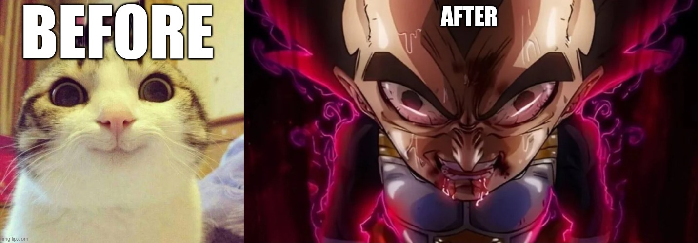 AFTER BEFORE | image tagged in memes,smiling cat,vegeta drool | made w/ Imgflip meme maker