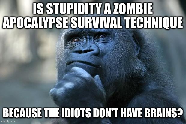 Idk | IS STUPIDITY A ZOMBIE APOCALYPSE SURVIVAL TECHNIQUE; BECAUSE THE IDIOTS DON'T HAVE BRAINS? | image tagged in deep thoughts | made w/ Imgflip meme maker