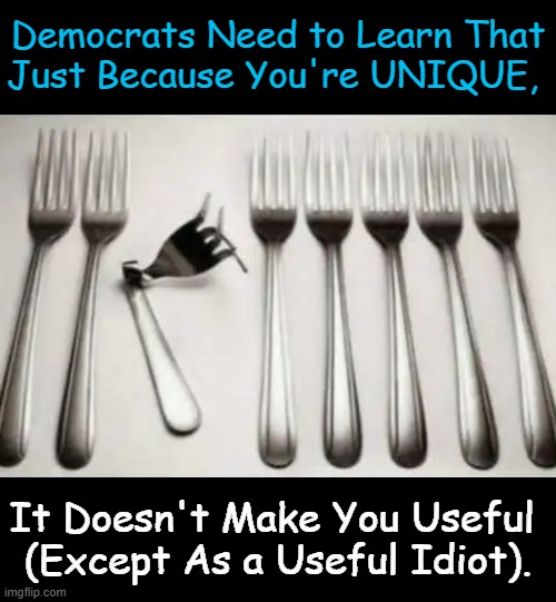 Democrats Awakened The Masses to 'Reject Radicalism in Favor of Reality' | Democrats Need to Learn That
Just Because You're UNIQUE, It Doesn't Make You Useful 
(Except As a Useful Idiot). | image tagged in liberalism,unique,useful,idiots,democrats,political humor | made w/ Imgflip meme maker