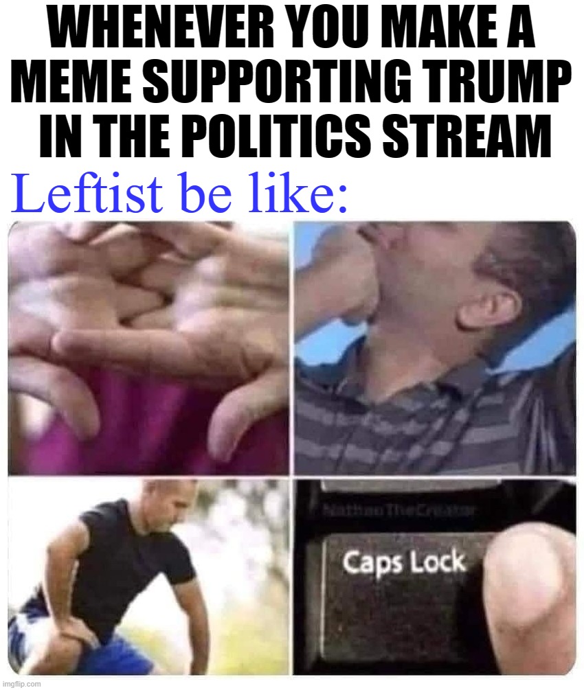 Leftists got to hate | WHENEVER YOU MAKE A 
MEME SUPPORTING TRUMP 
IN THE POLITICS STREAM; Leftist be like: | image tagged in politics | made w/ Imgflip meme maker