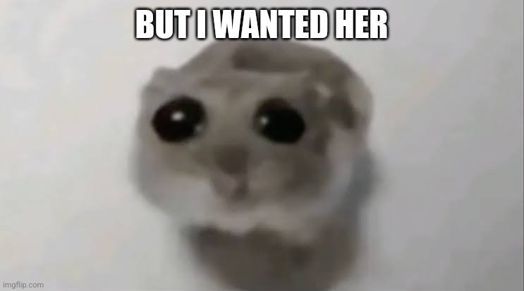 Sad Hamster | BUT I WANTED HER | image tagged in sad hamster | made w/ Imgflip meme maker