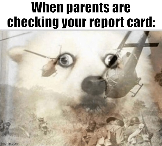 *boss music plays* | When parents are checking your report card: | image tagged in ptsd dog,school,relatable,funny | made w/ Imgflip meme maker