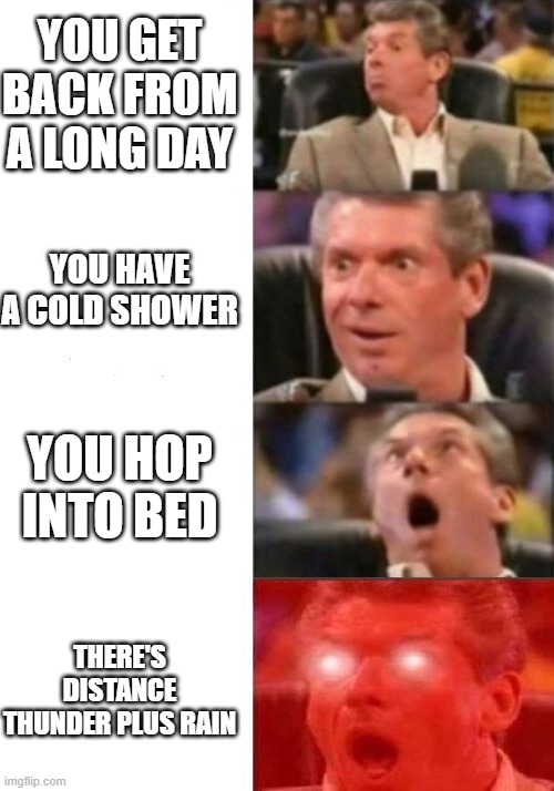 Mr. McMahon reaction | YOU GET BACK FROM A LONG DAY; YOU HAVE A COLD SHOWER; YOU HOP INTO BED; THERE'S DISTANCE THUNDER PLUS RAIN | image tagged in mr mcmahon reaction | made w/ Imgflip meme maker