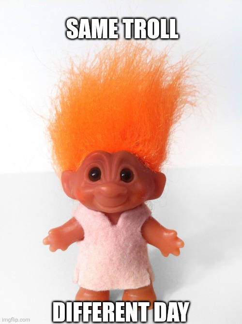 Troll doll | SAME TROLL DIFFERENT DAY | image tagged in troll doll | made w/ Imgflip meme maker