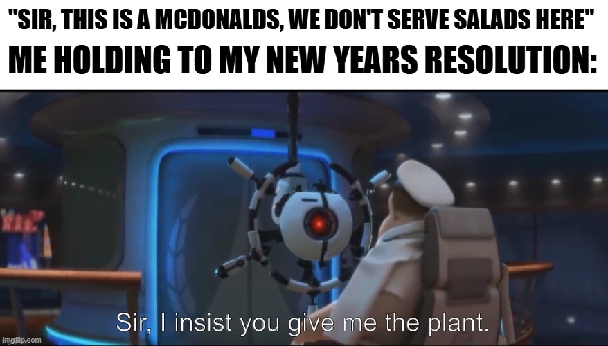 This is a joke, I don't go to McD | ME HOLDING TO MY NEW YEARS RESOLUTION:; "SIR, THIS IS A MCDONALDS, WE DON'T SERVE SALADS HERE" | image tagged in sir i insist you give me the plant | made w/ Imgflip meme maker